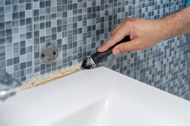 Best Certified Mold Removal  in Griffith, IN